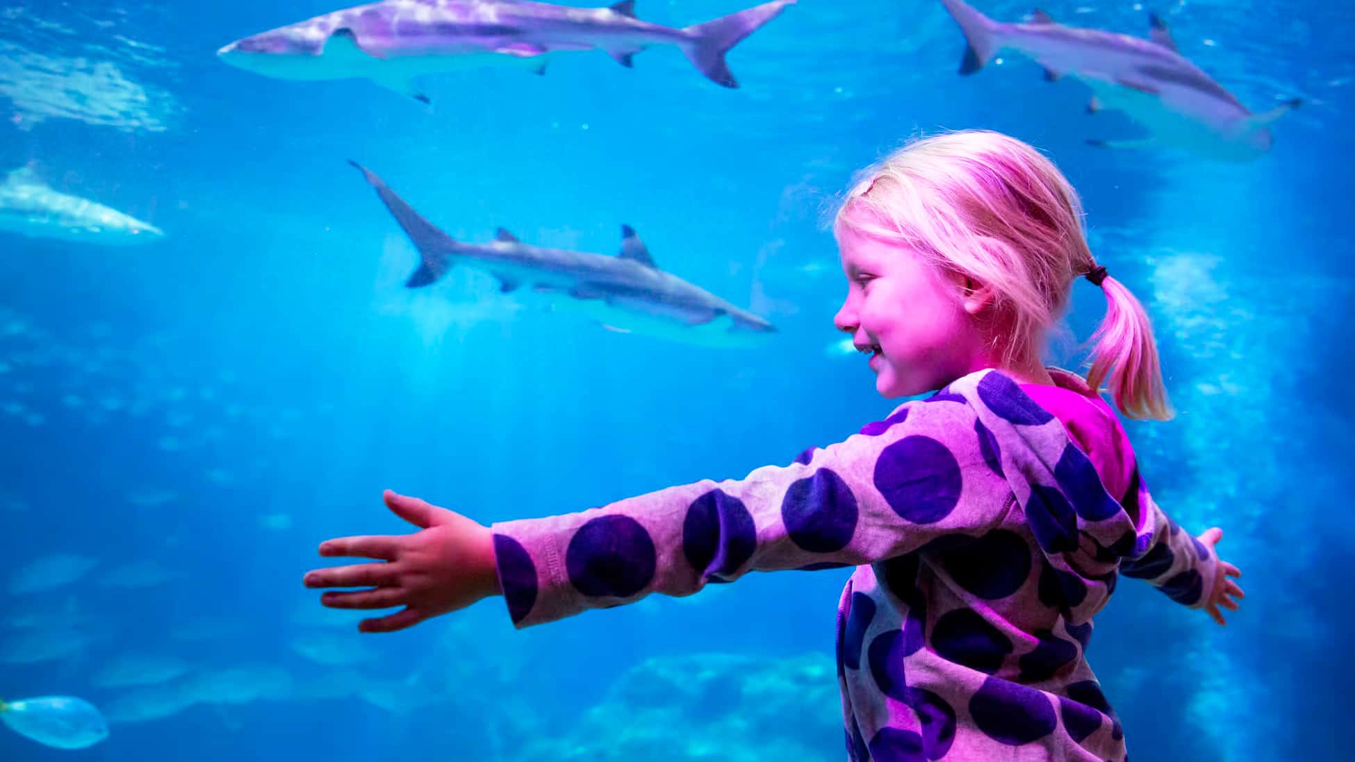 Oberhausen z akwarium SEA LIFE – nocleg w hotelu w cenie