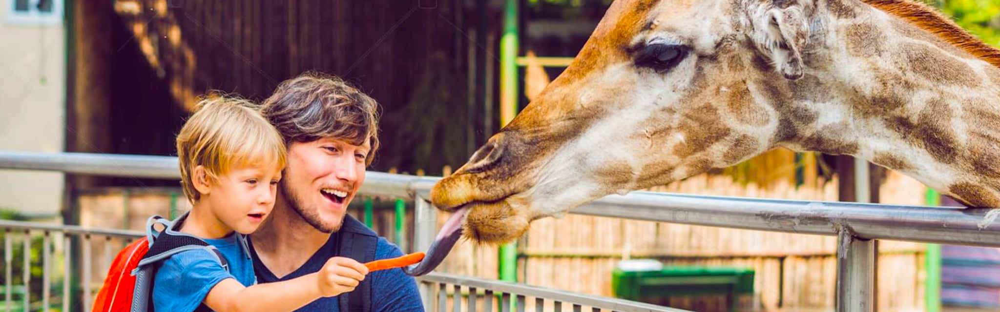 Wycieczka do Lipska z biletem wstępu do zoo