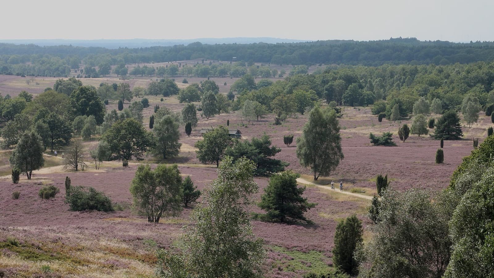 Wyjazd do Bispingen z przygodą na krytym stoku narciarskim foto 1
