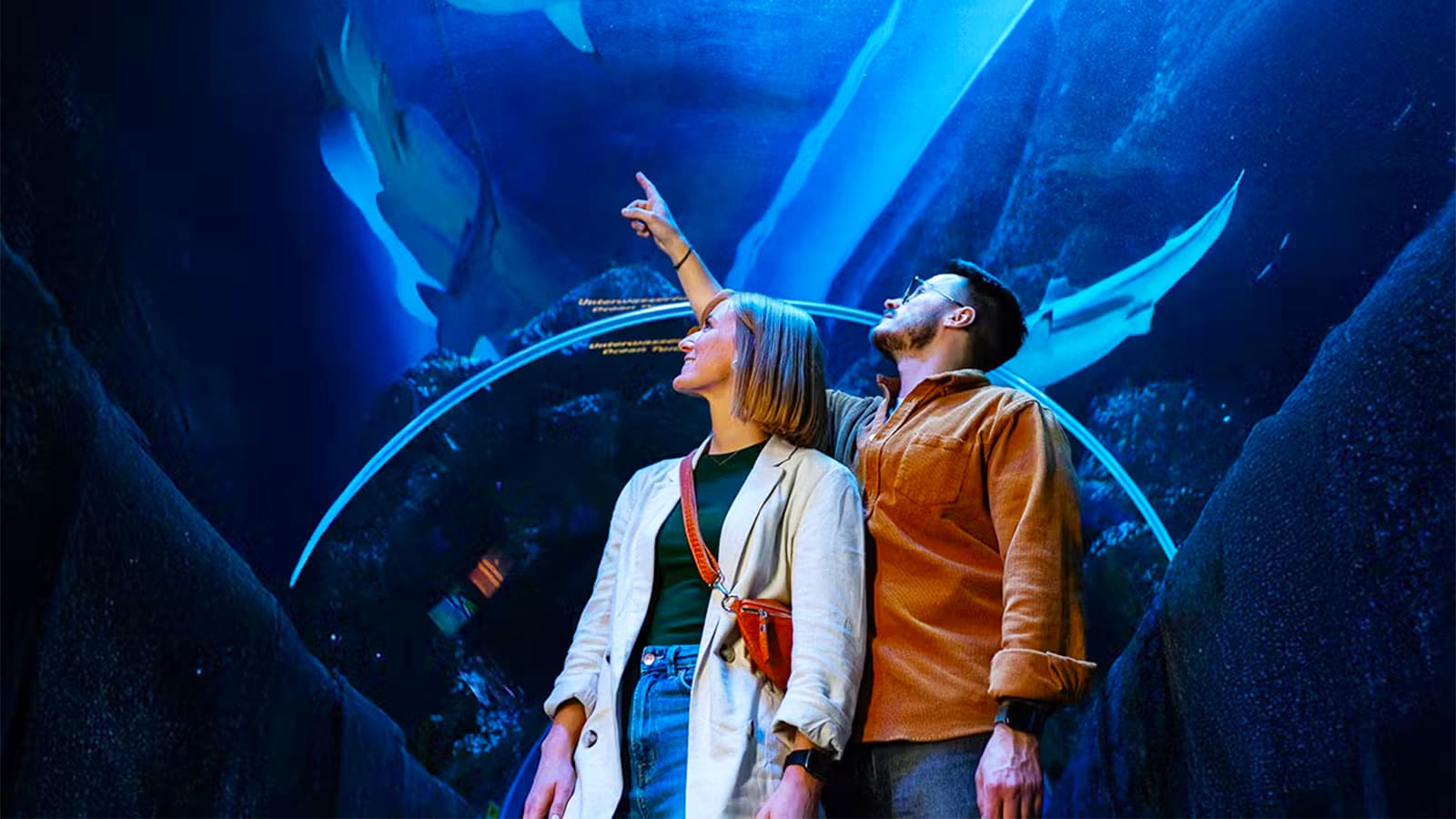 Oberhausen z akwarium SEA LIFE – nocleg w hotelu w cenie foto 2