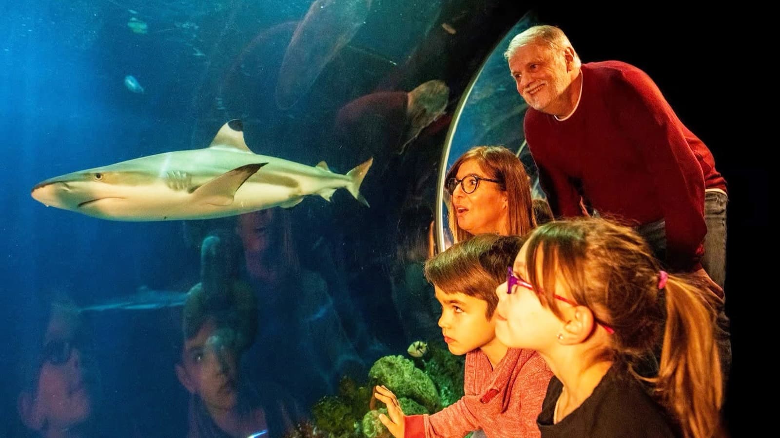 Oberhausen z akwarium SEA LIFE – nocleg w hotelu w cenie foto 3