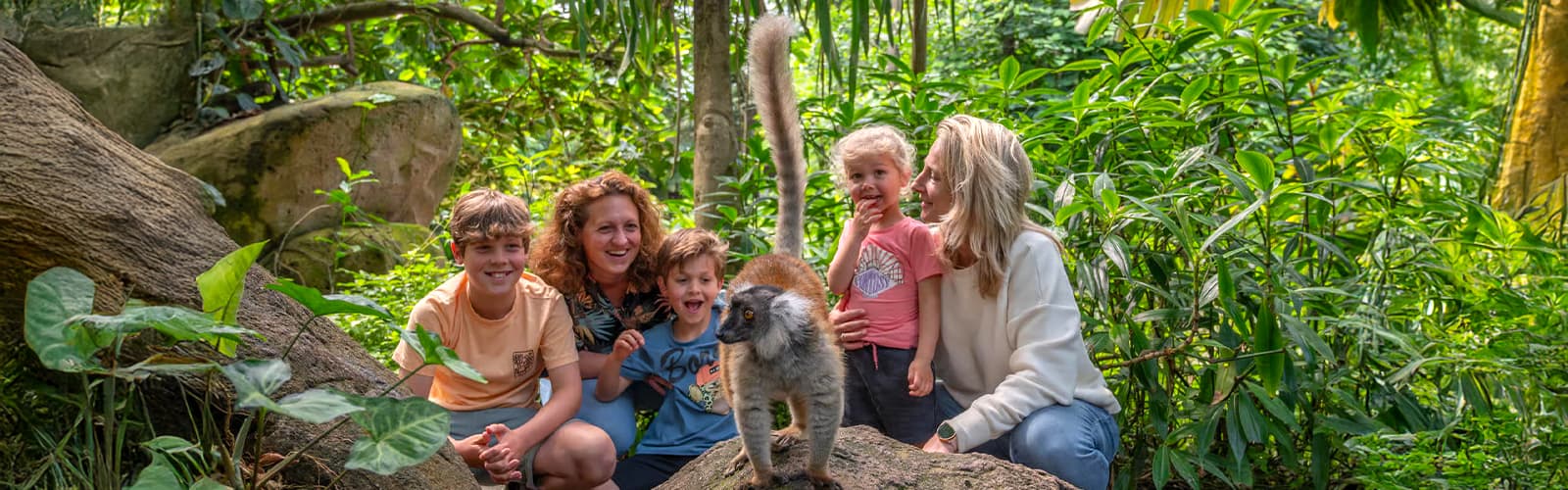 Przeżyj niezapomnianą przygodę w Wildlands Adventure Zoo Emmen